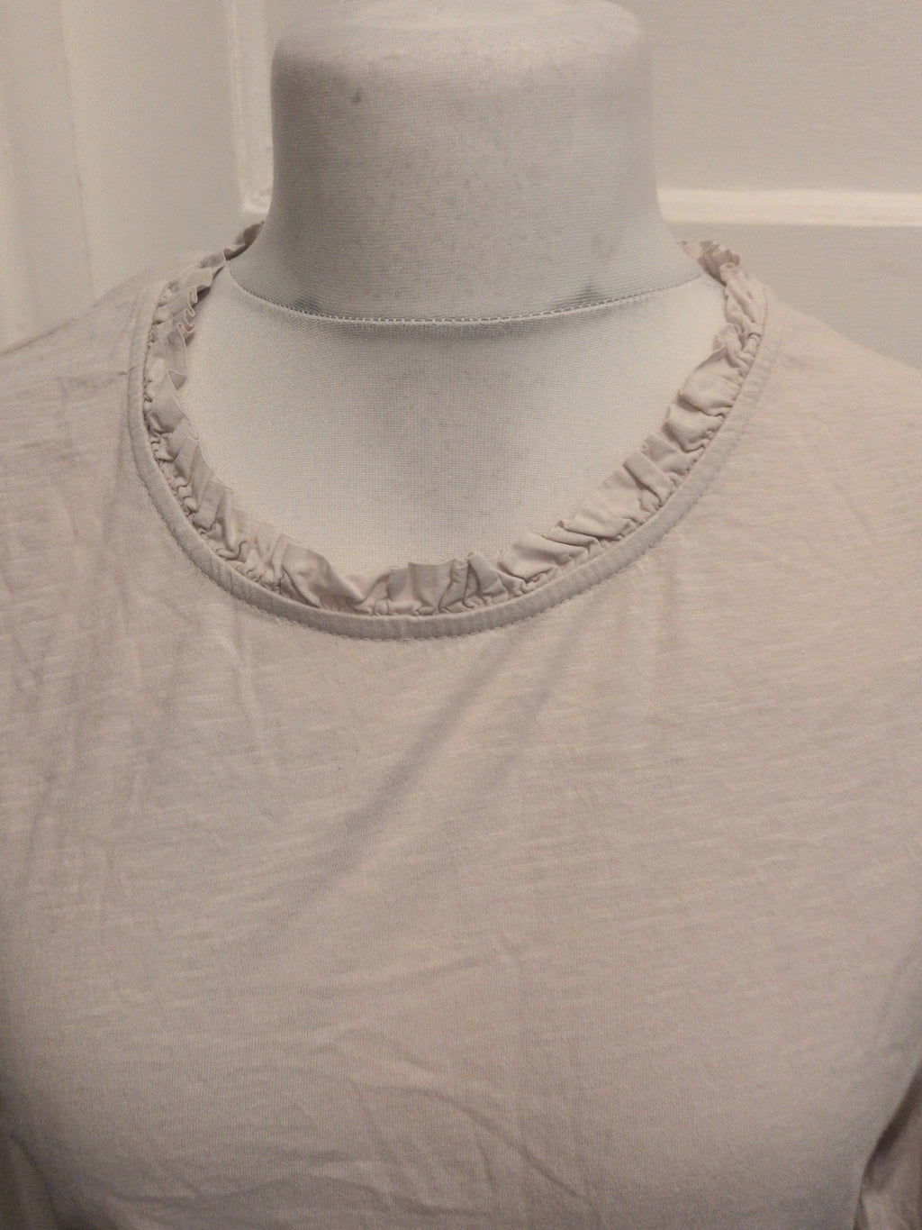 Large Pale Grey Long Sleeve T-shirt