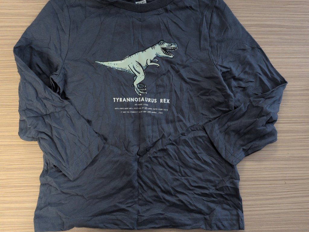 F&F 3-4 Years Rex Long Sleeve T-shirt