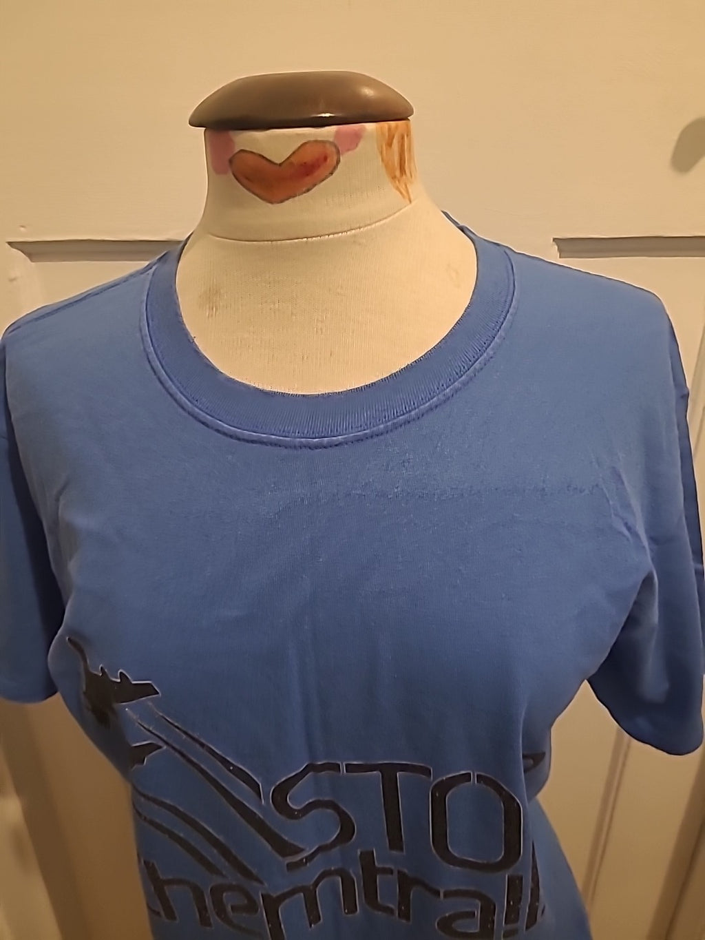 Mens Hanes Size Large Blue Print Short Sleeved Tshirt