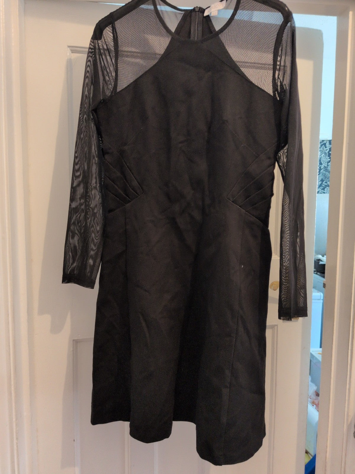 Apricot 12 Upper Mesh Black Long Sleeve Dress