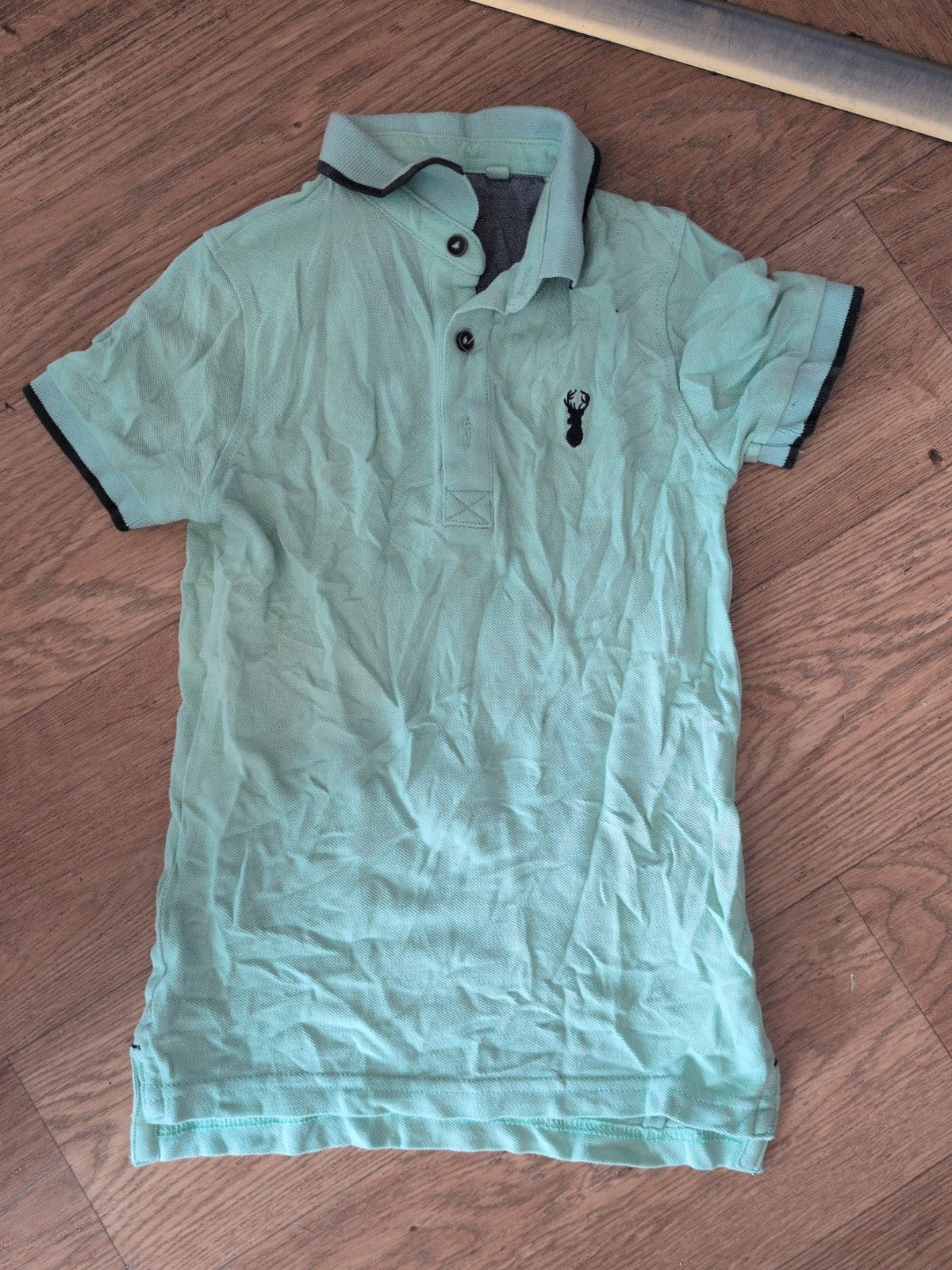 Next 5 Years Mint Short Sleeve Polo