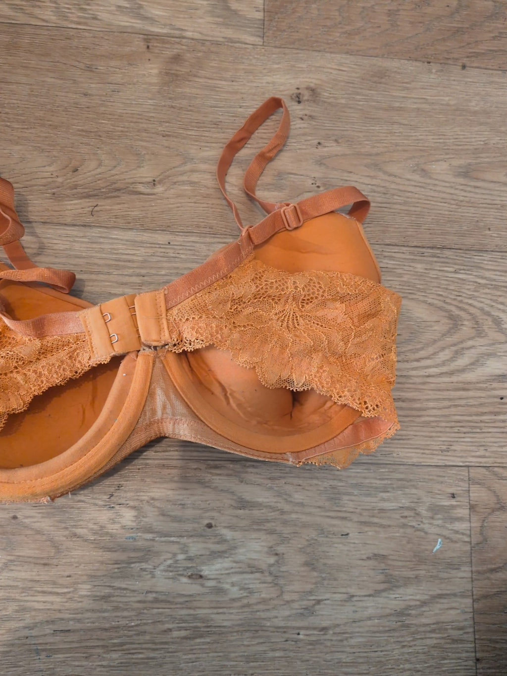George 32d Orange Padded And Wired Bra