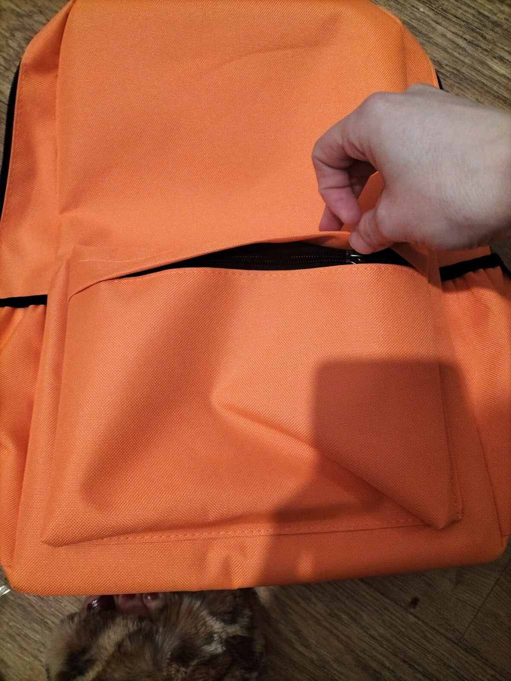 Brand New Sealed Waterproof Bright Orange Rucksack Leisure School
