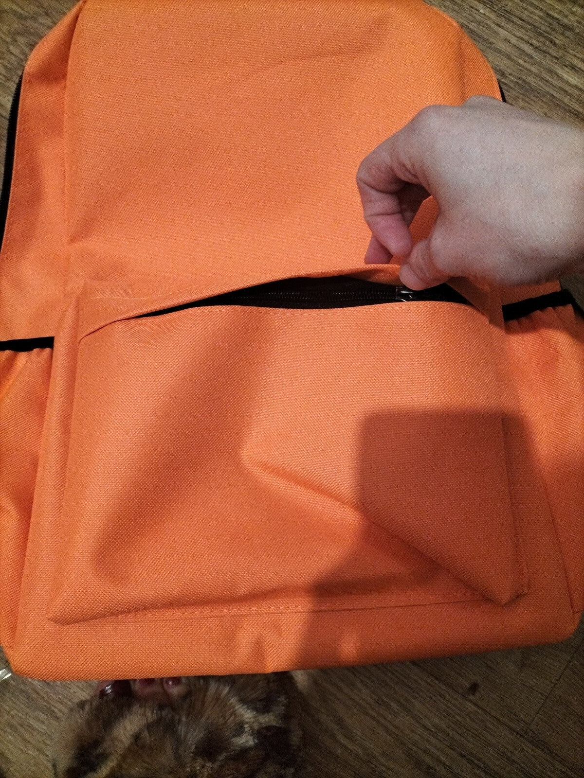 Brand New Sealed Waterproof Bright Orange Rucksack Leisure School