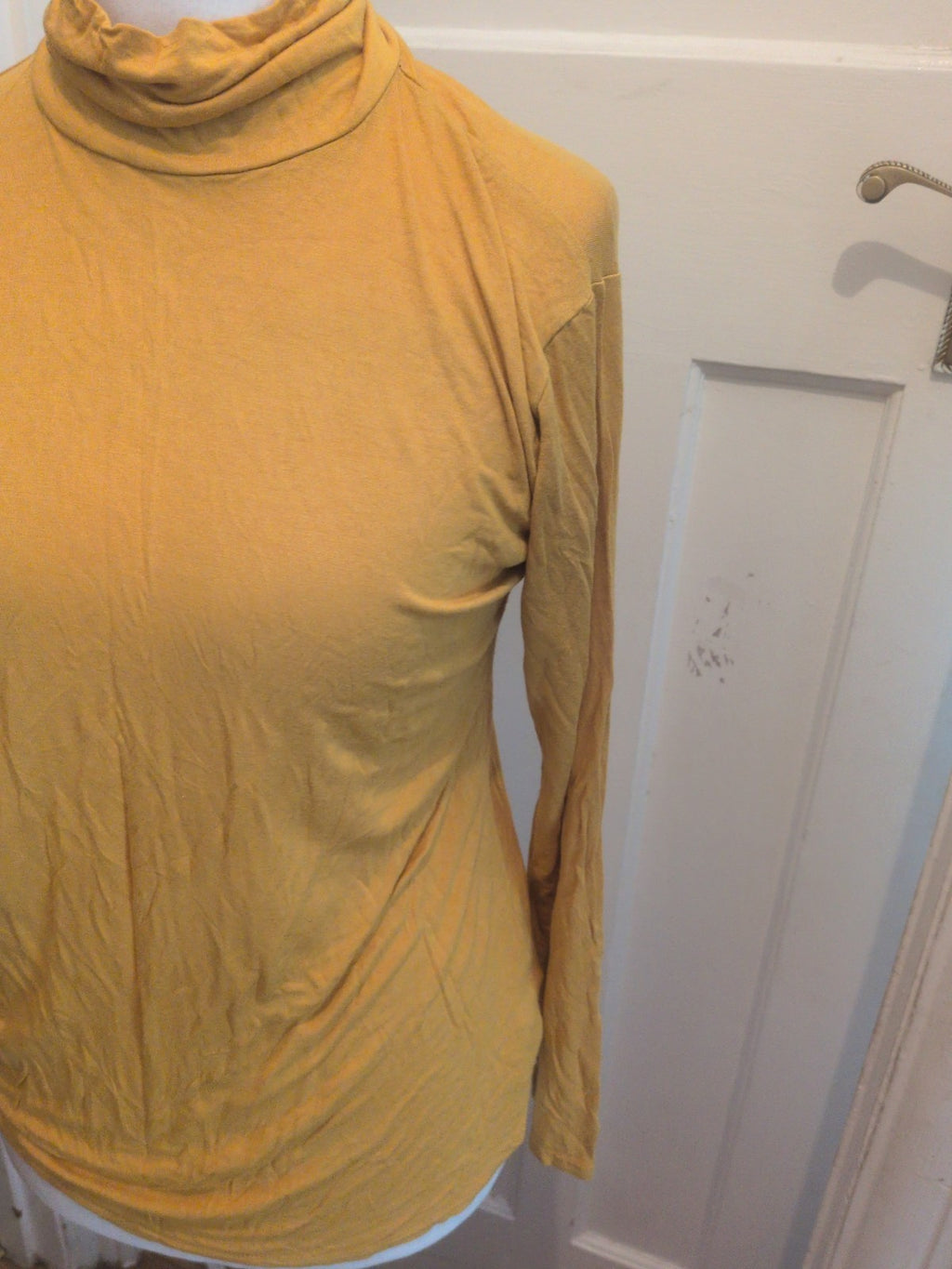 20/22 Mustard Long Sleeve T-shirt High Neck