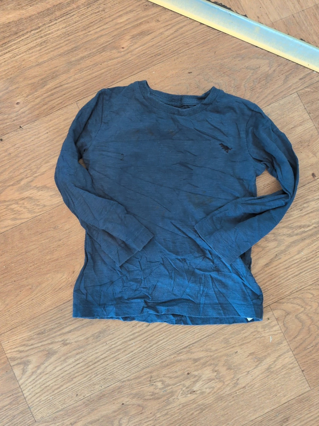 Next 2-3 Years Navy Long Sleeve T-shirt