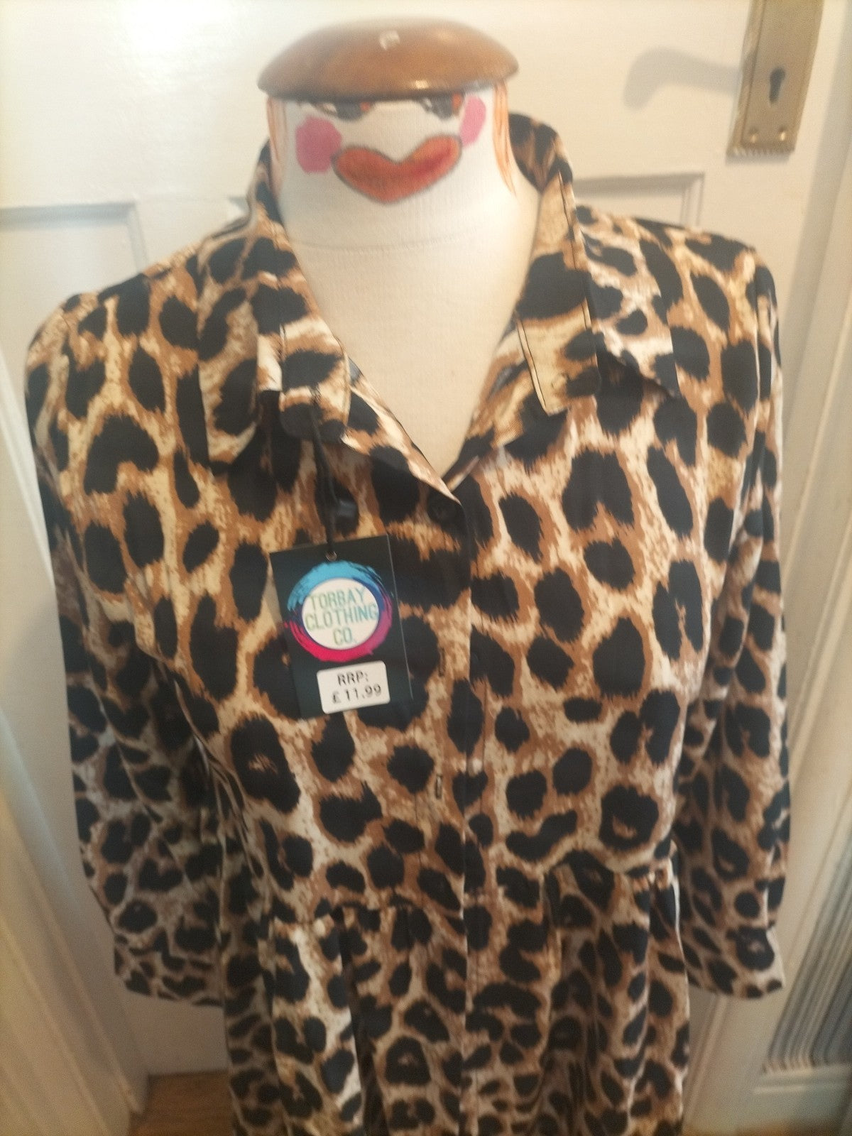 Brand New TorbayClothingCo Leopard Print A-line Long Sleeved Dress