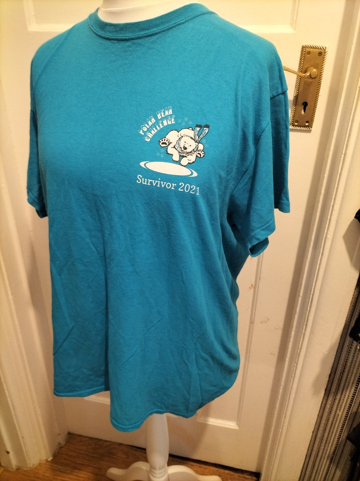 Mens Gildan Size Small Blue Polar Bear Challenge Tshirt