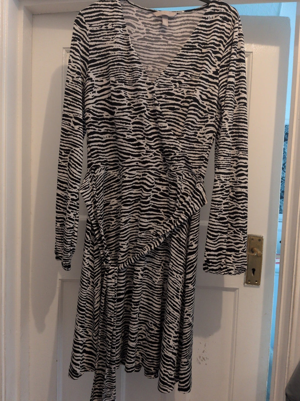 H&M Small Zebra Print Long Sleeve V Neck Dress