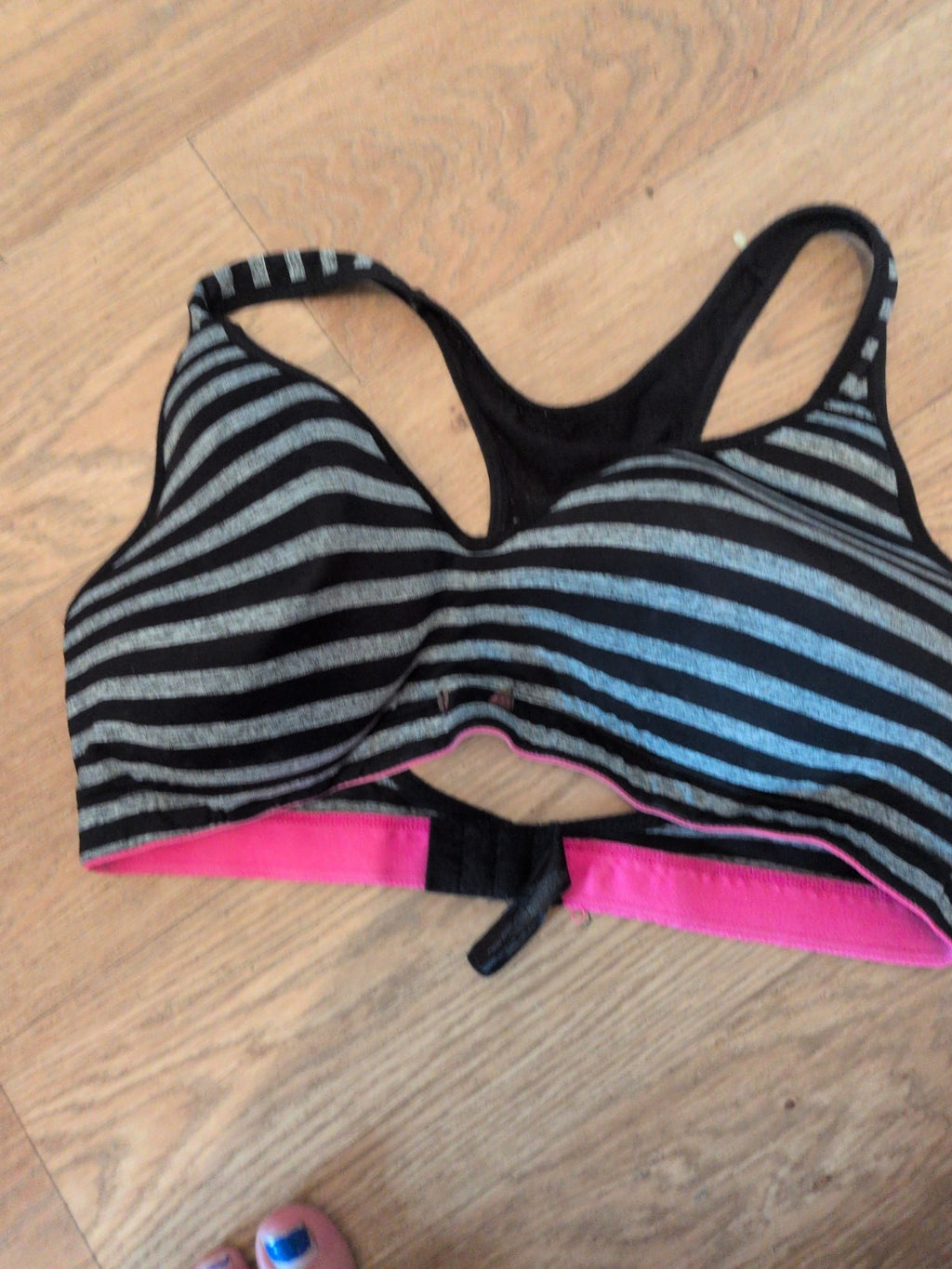 Secret Possession 36d Black And Grey Padded No Wires Bra