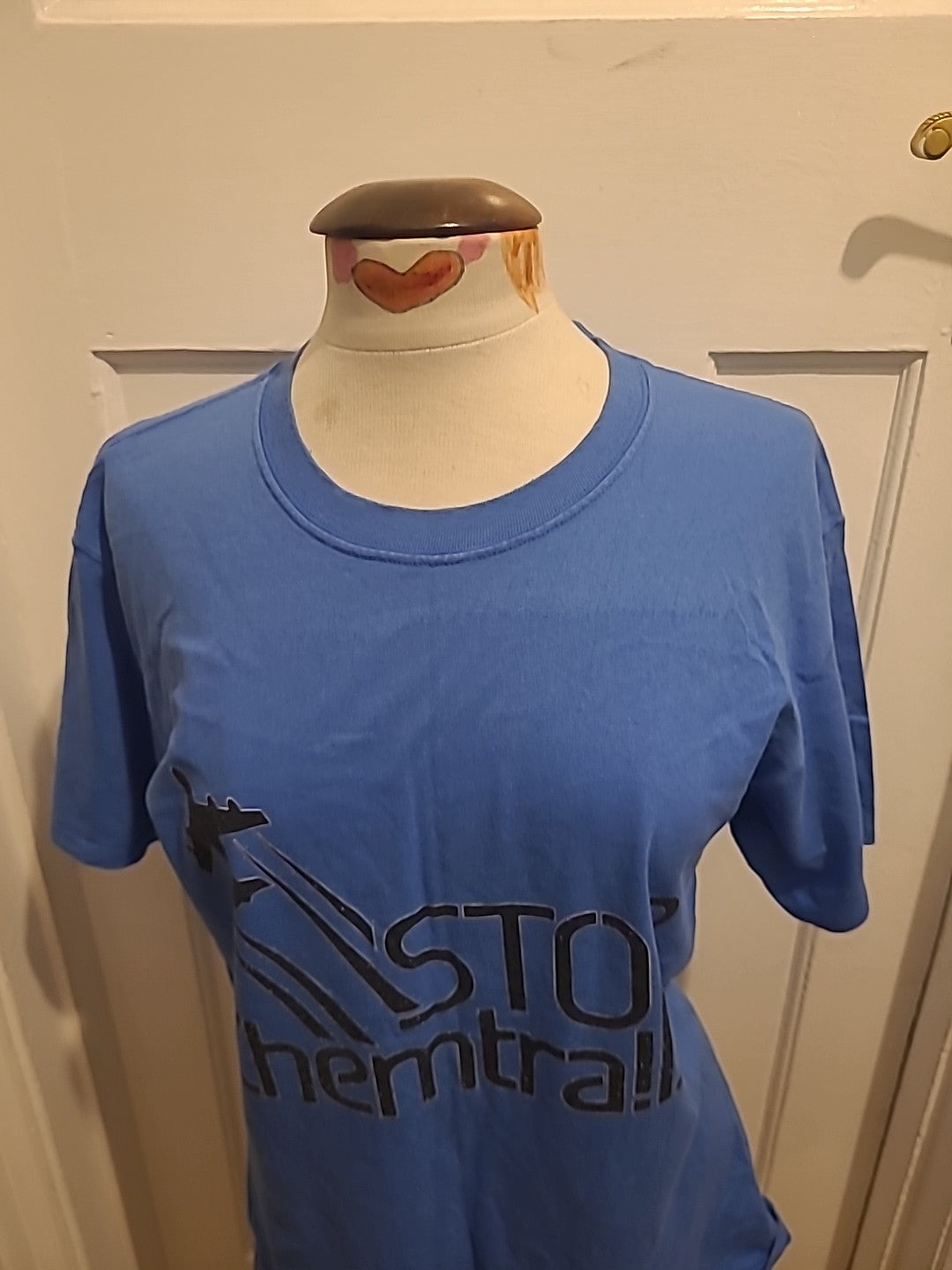Mens Hanes Size Large Blue Print Short Sleeved Tshirt