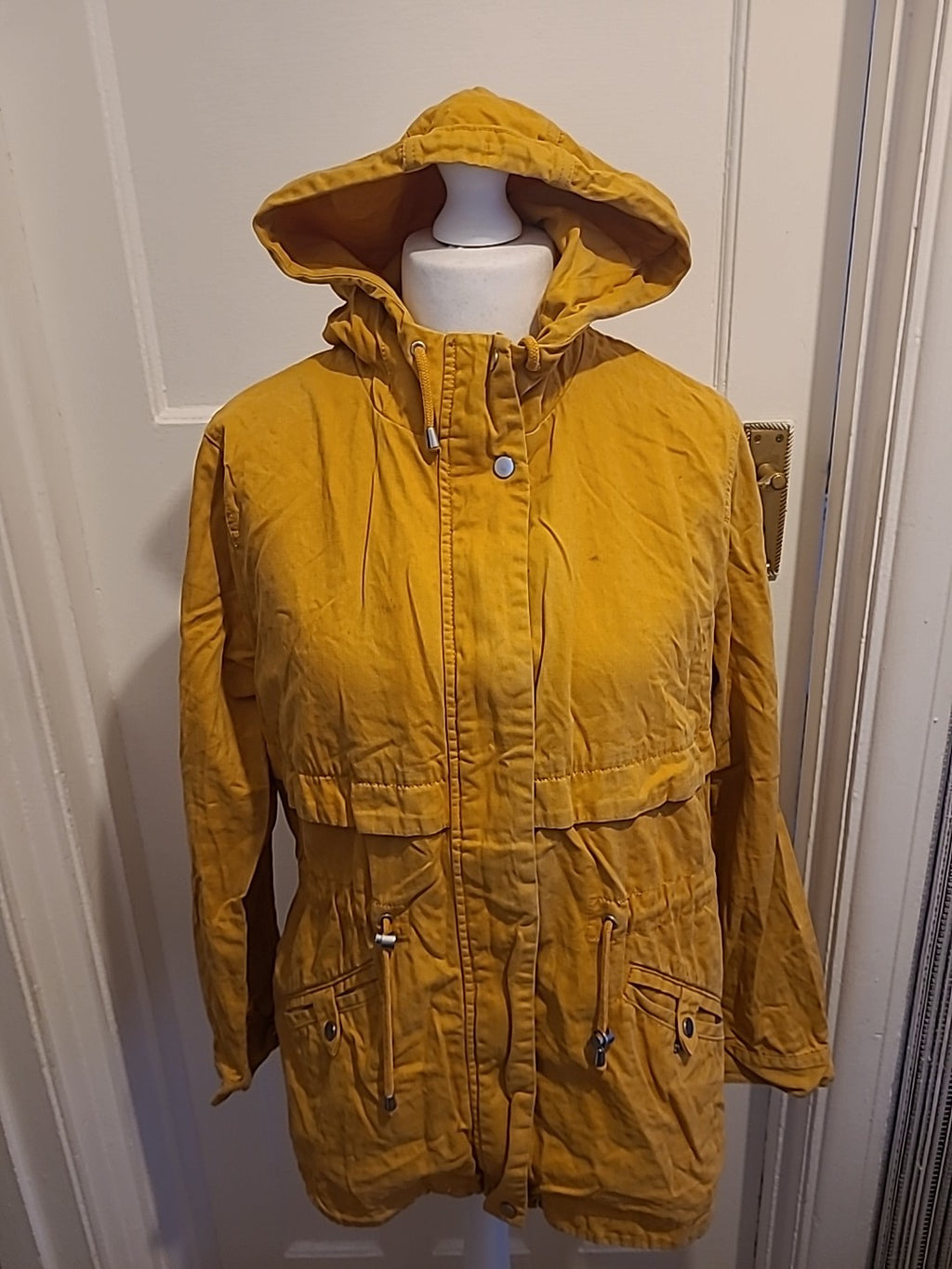 Ladies Divided Size Large Mustard Hooded Jacket