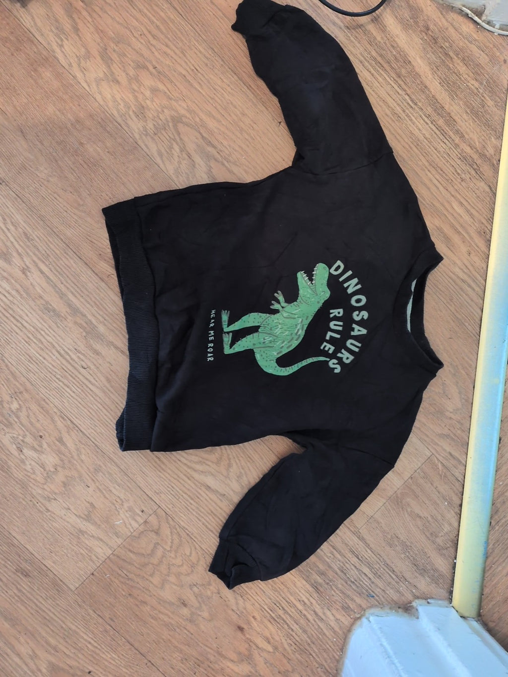 F&F 3-4 Years Dinosaur Jumper