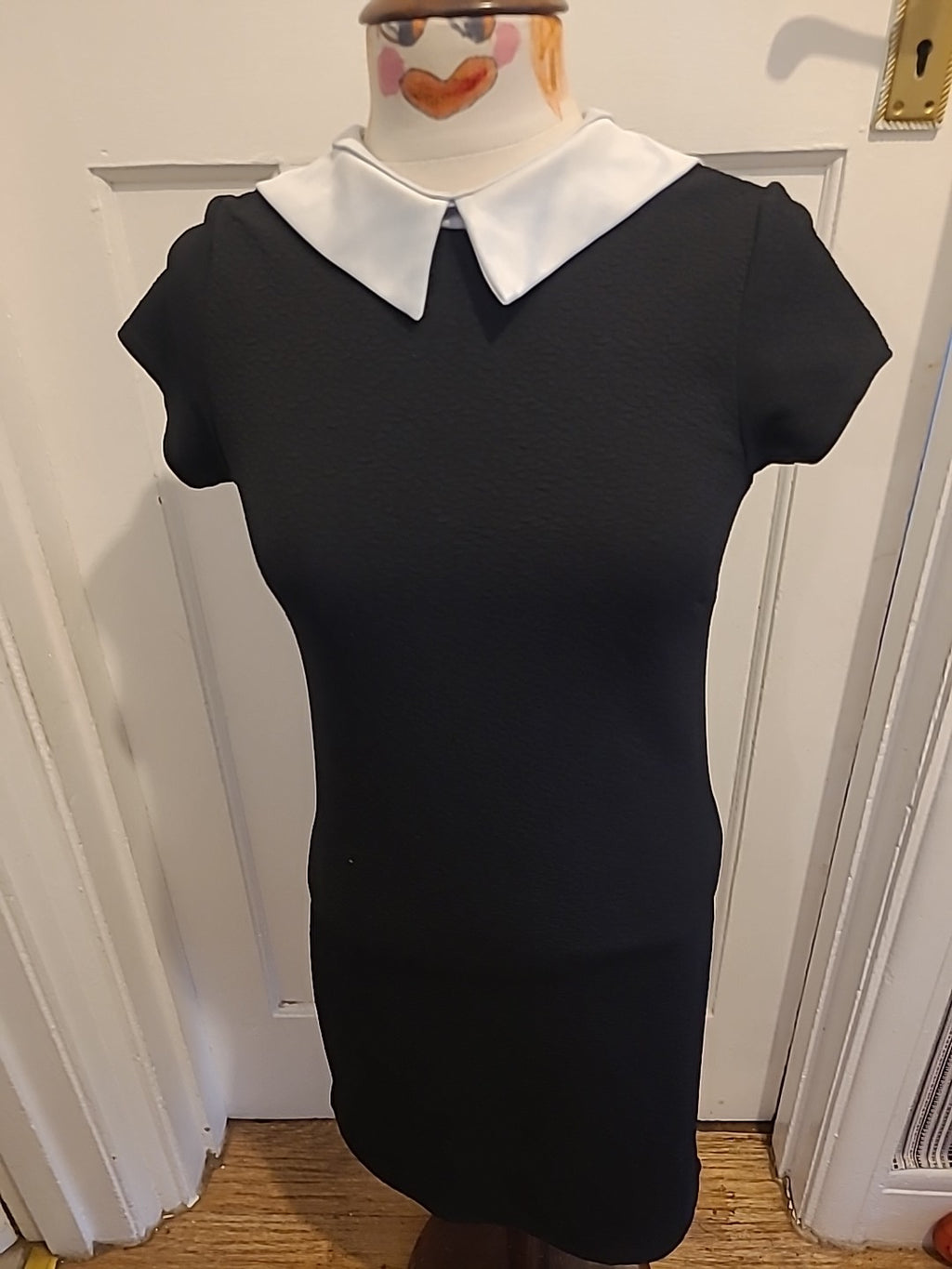 Ladies Cameo Rose Size 10 Black With White Collared Short Sleeved Pencil Dress