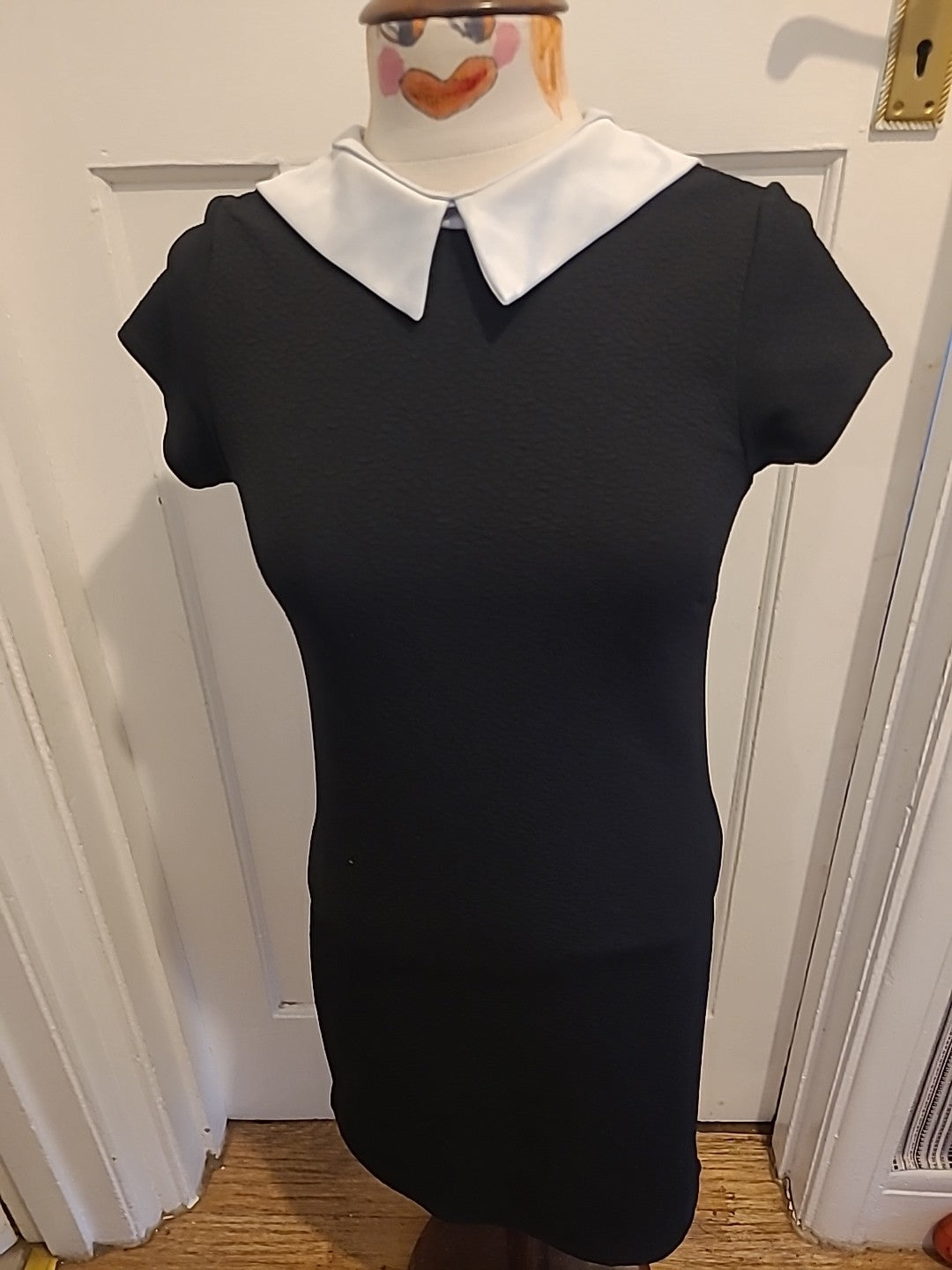 Ladies Cameo Rose Size 10 Black With White Collared Short Sleeved Pencil Dress
