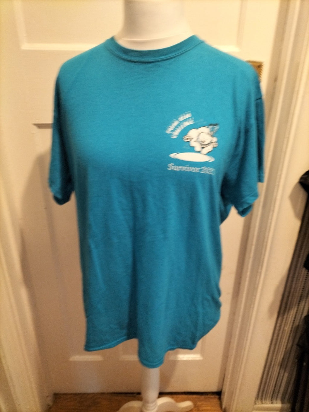Mens Gildan Size Small Blue Polar Bear Challenge Tshirt