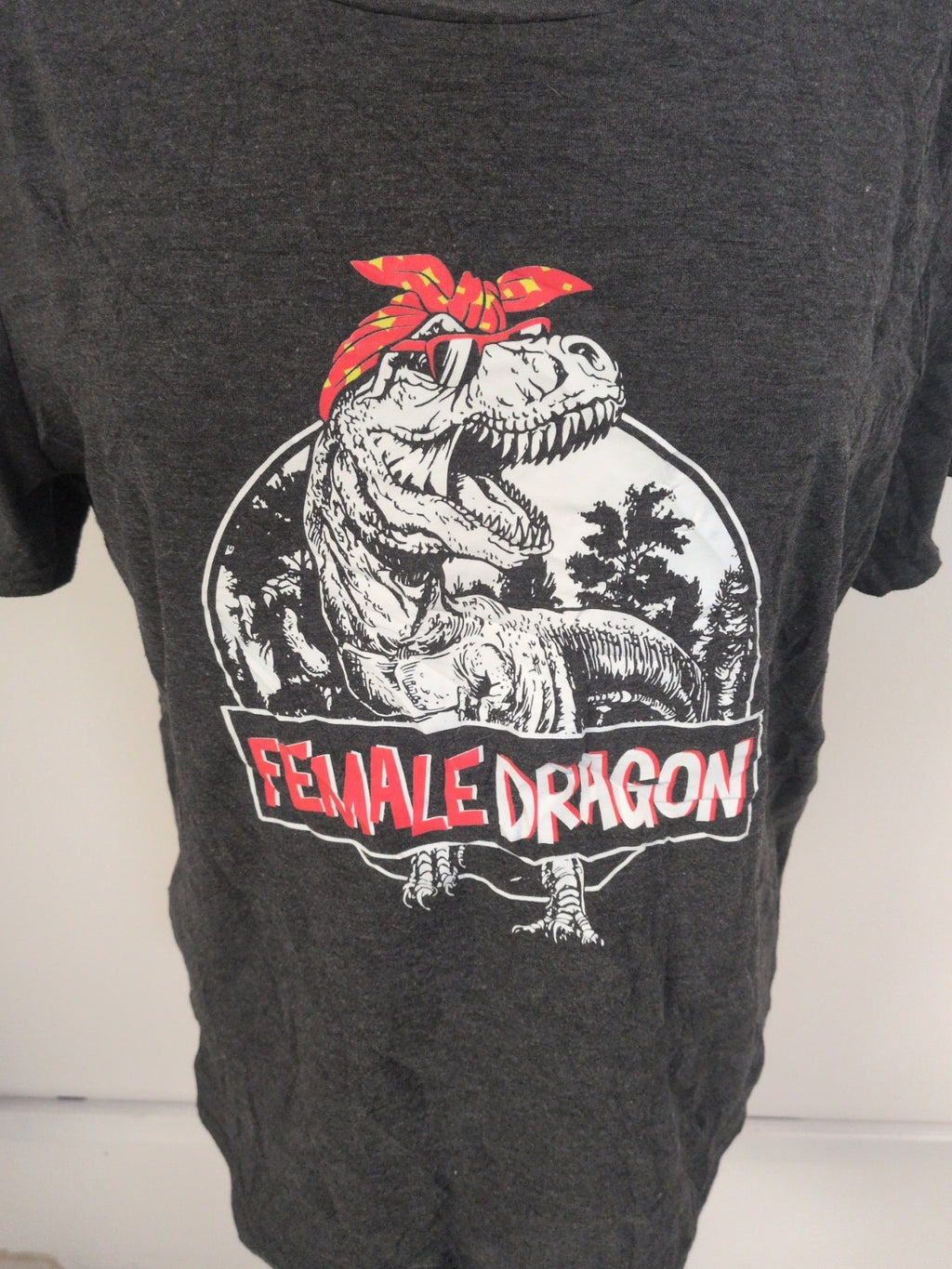 Ladies Size XL Grey Short Sleeve Female Dragon Print T-shirt
