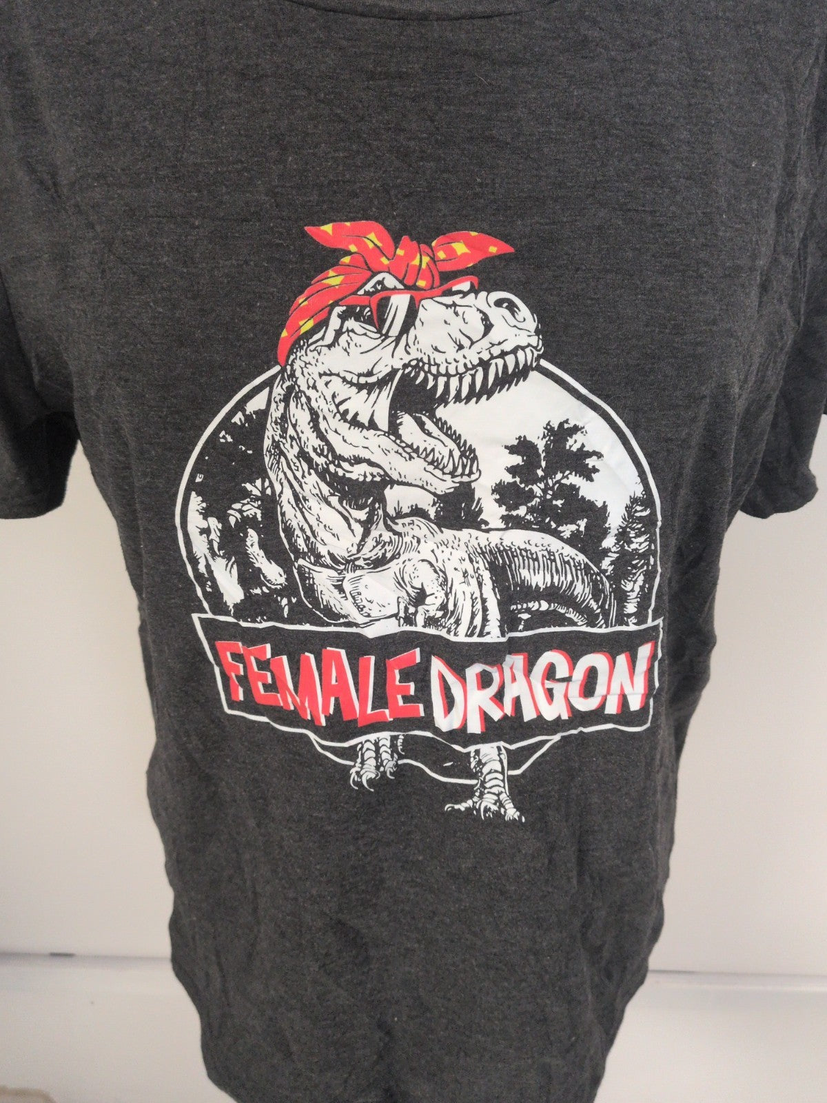 Ladies Size XL Grey Short Sleeve Female Dragon Print T-shirt