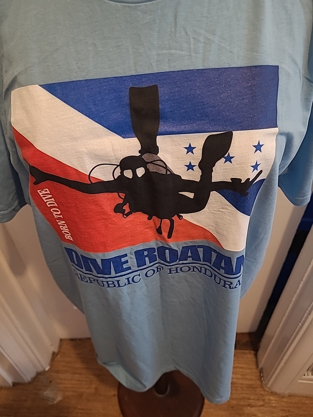Mens Gildan Size Large Pale Blue Honduras Short Sleeved Tshirt