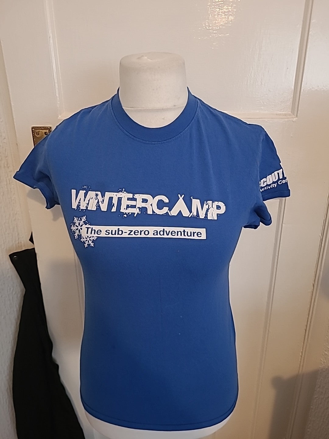 Mens Gildan Medium Blue Wintercamp Short Sleeved Tshirt