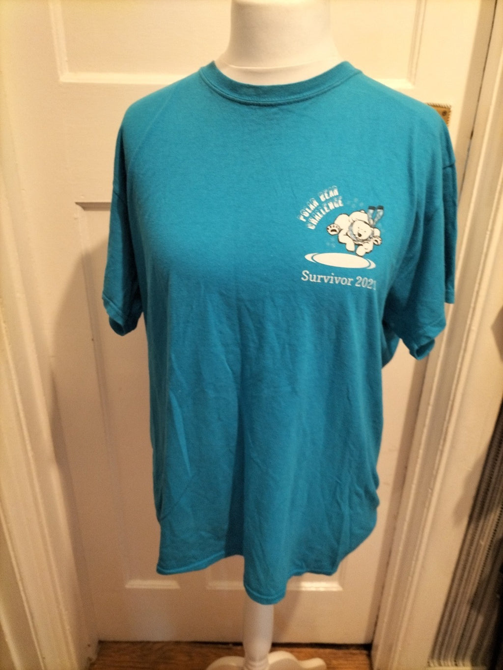 Mens Gildan Size Small Blue Polar Bear Challenge Tshirt