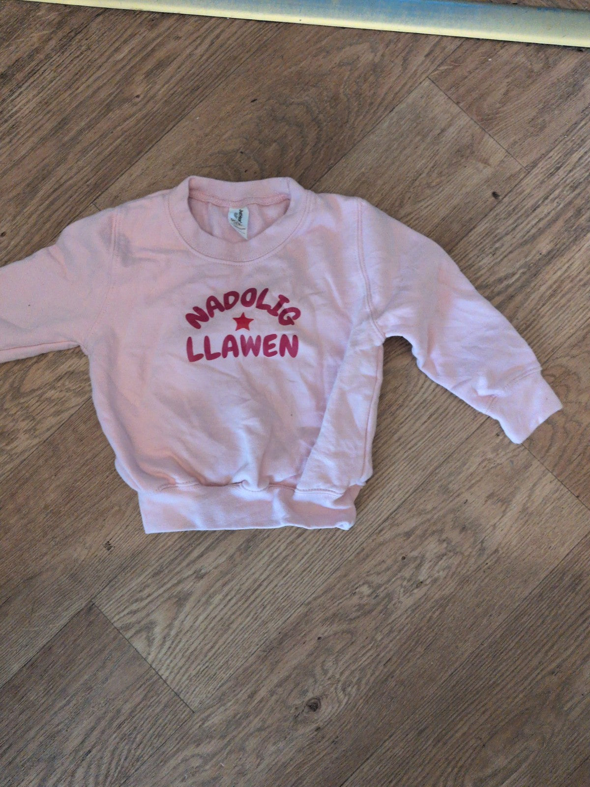Just Hoods 1-2 Years Pink Pullover Printed Jumper