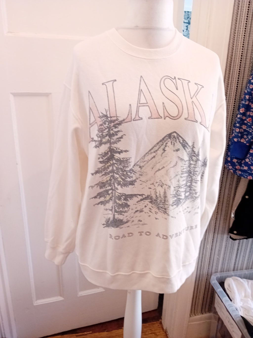 Hollister Small Alaska Print Pullover Jumper