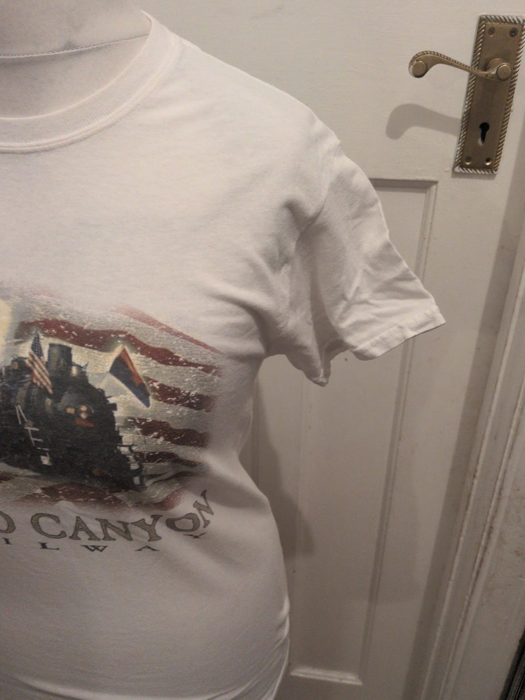 Mens Gildan Size Small Grand Canyon Print Short Sleeve T-shirt