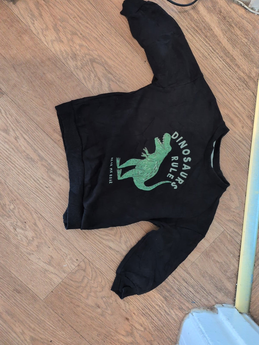F&F 3-4 Years Dinosaur Jumper