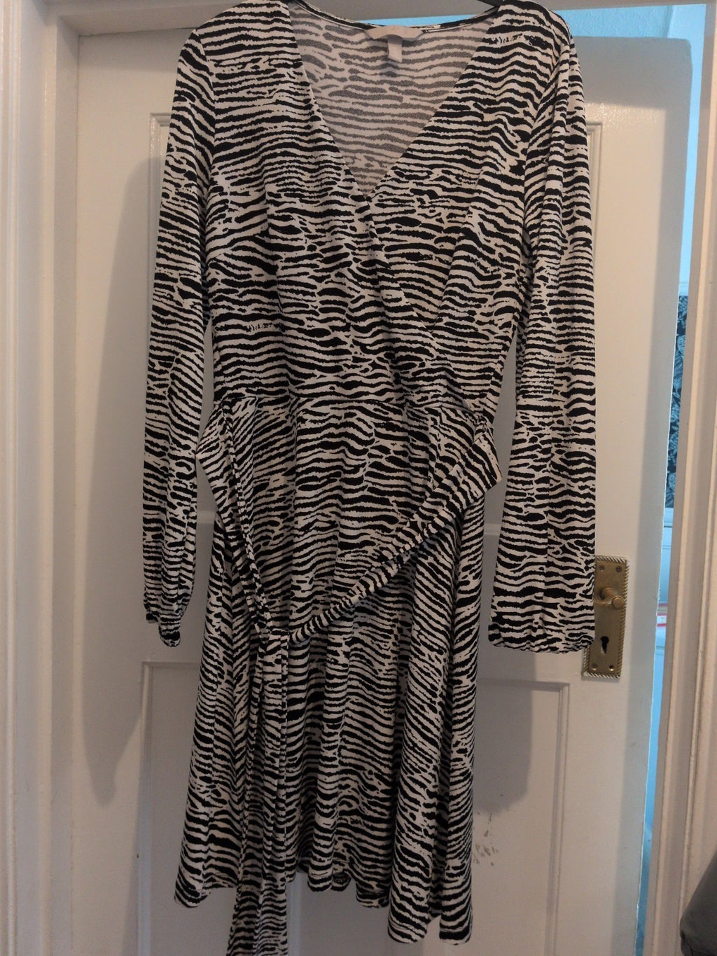 H&M Small Zebra Print Long Sleeve V Neck Dress