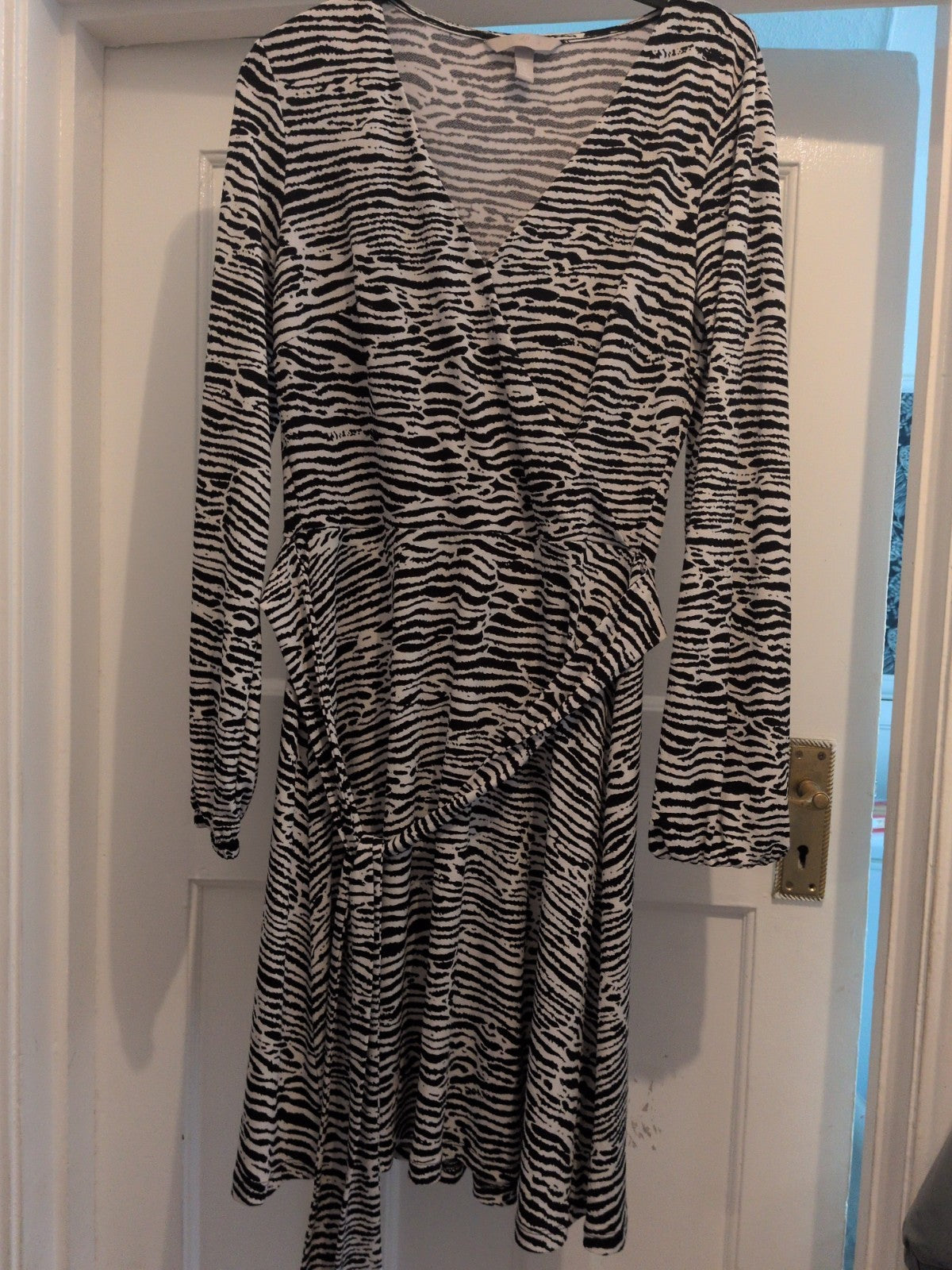 H&M Small Zebra Print Long Sleeve V Neck Dress