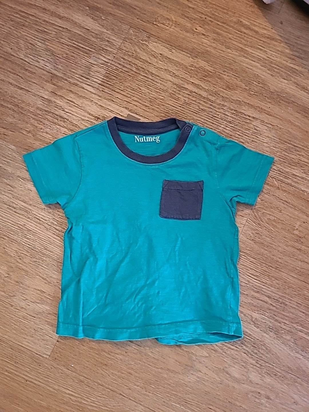 Boys Nutmeg 2-3 Years Green Short Sleeved Tshirt