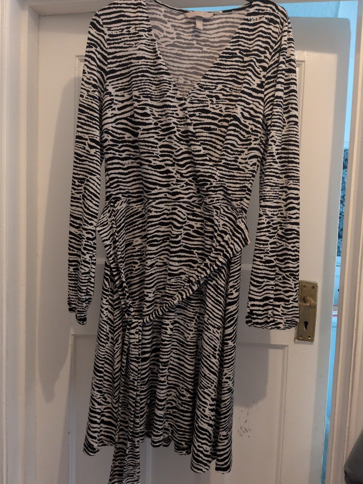 H&M Small Zebra Print Long Sleeve V Neck Dress