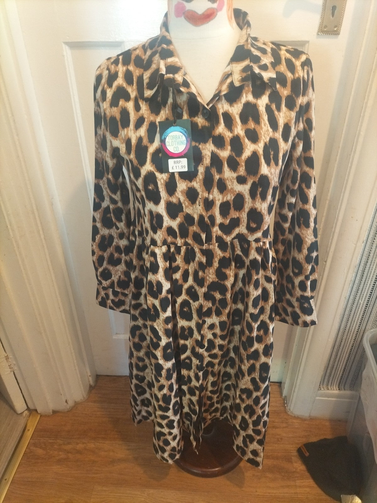 Brand New TorbayClothingCo Leopard Print A-line Long Sleeved Dress