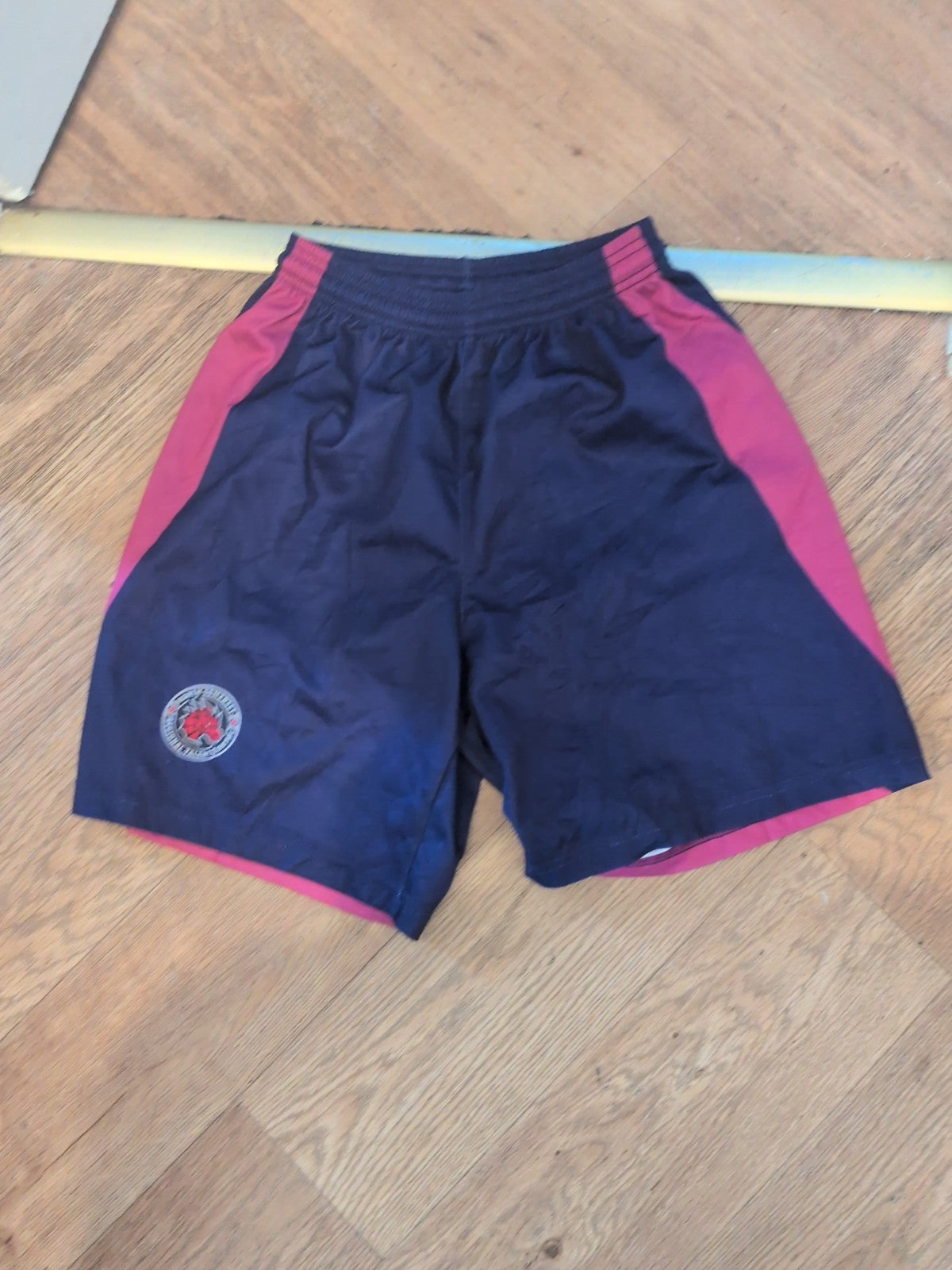 Small Purple And Pink Elasticated North Somerset Shorts