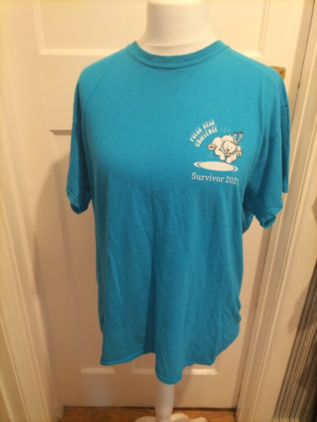 Mens Gildan Size Small Blue Polar Bear Challenge Tshirt