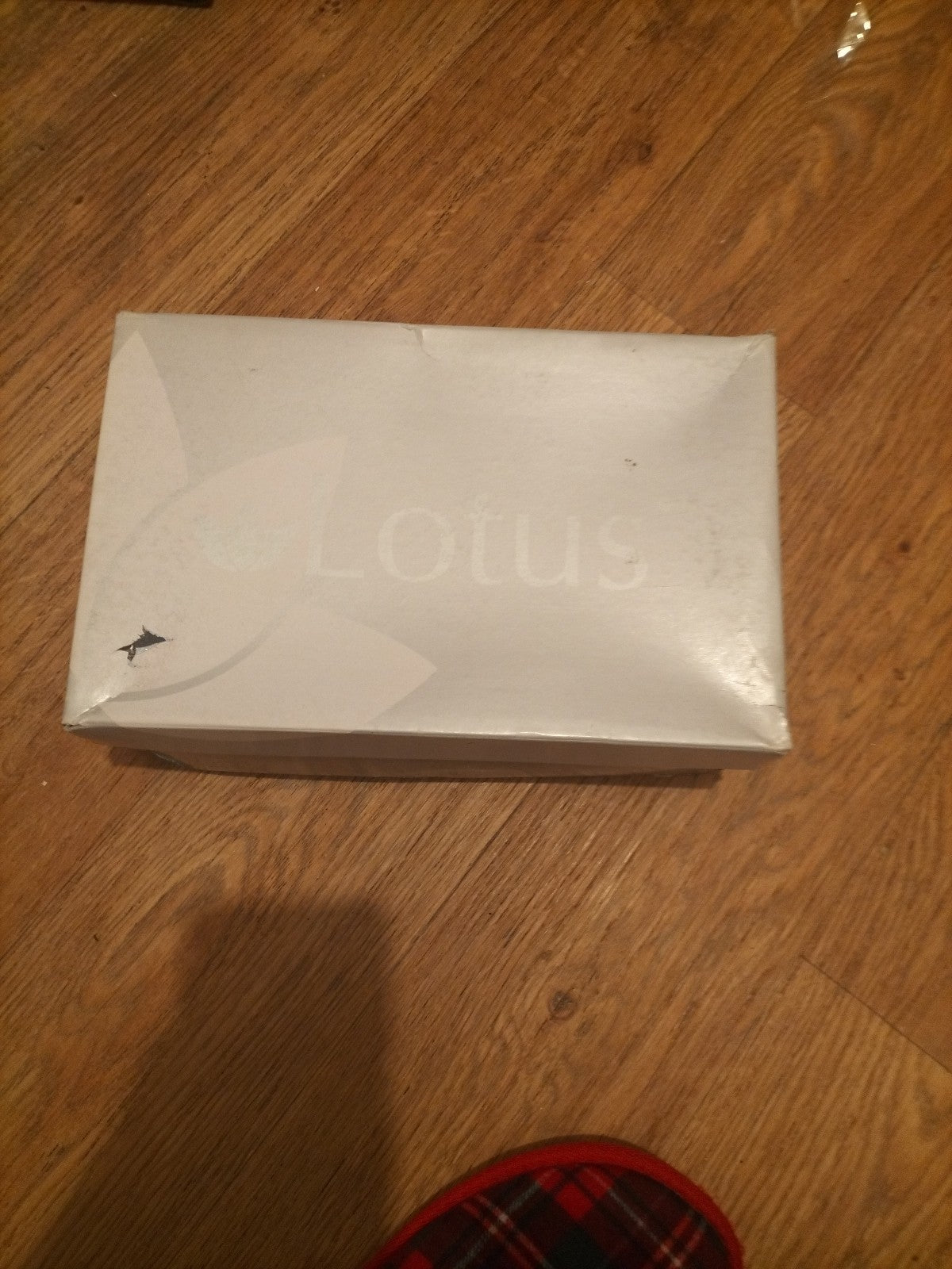 Brand New Ladies Lotus Size 6 Silver Heels