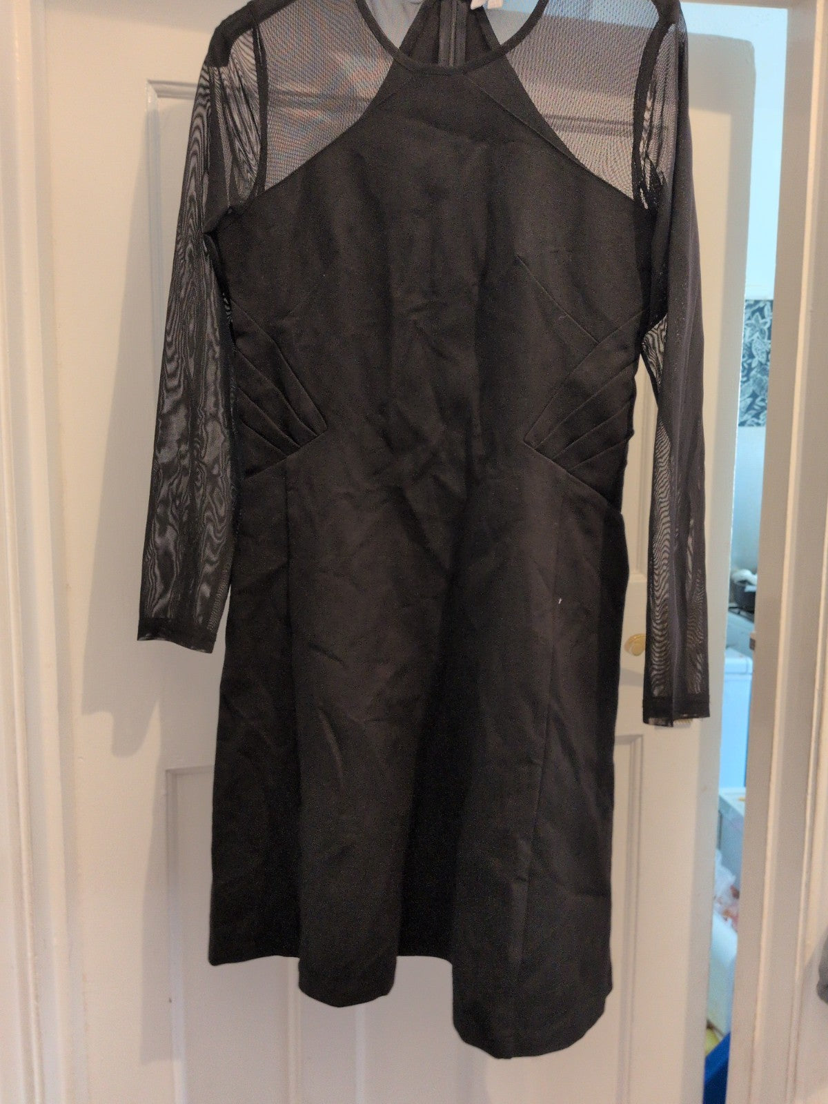 Apricot 12 Upper Mesh Black Long Sleeve Dress