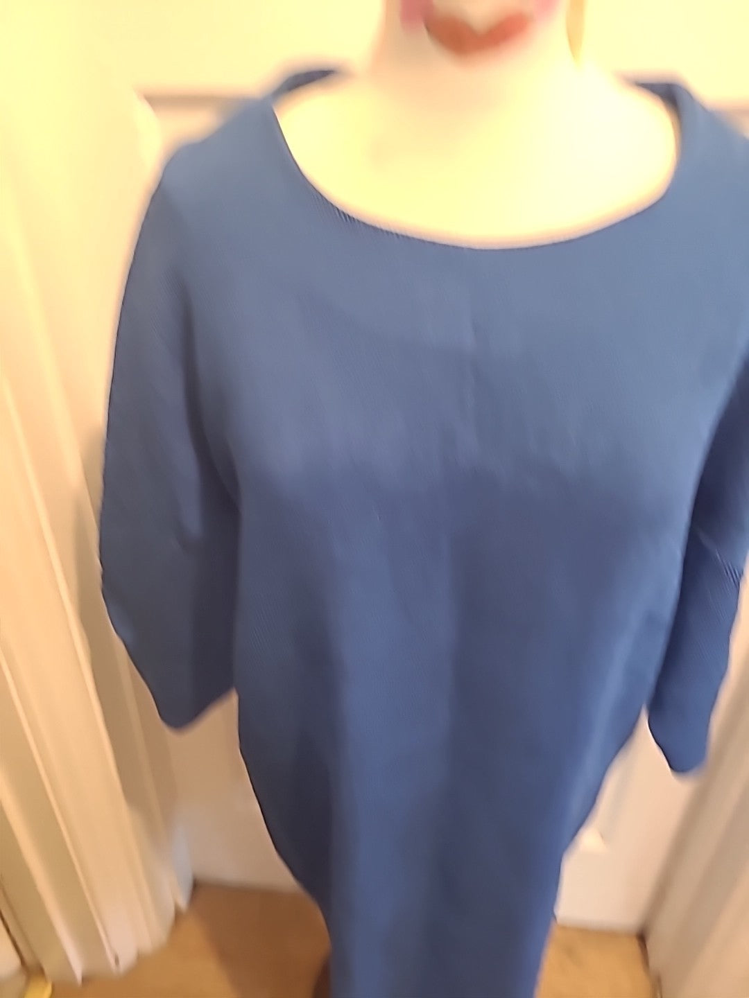 Ladies Riva Size Large Cobalt Blue Short Sleeved Dress