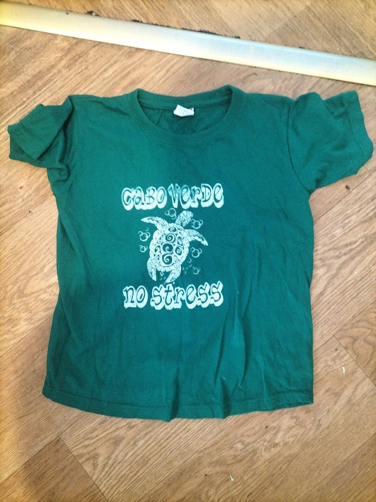 Boys Age 6 Years Green Turtle Short Sleeved Tshirt
