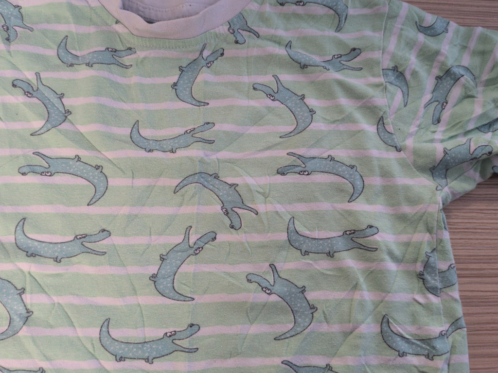 Peacocks 3-4 Years Crocodile Short Sleeve T-shirt