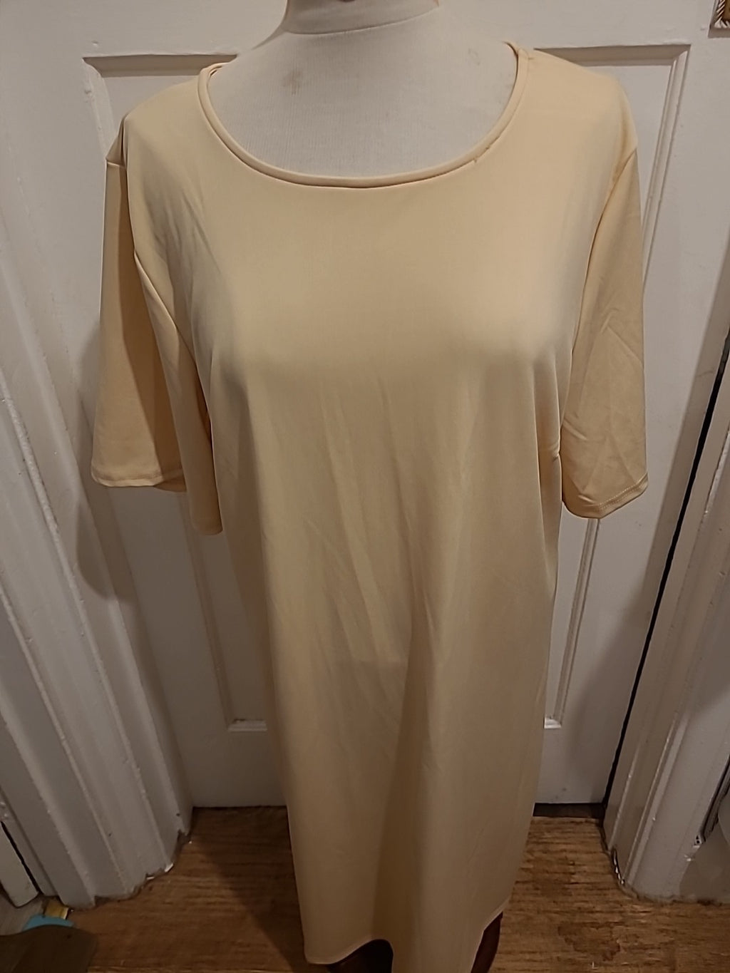 Ladies Size XL Beige Short Sleeved A Line Dress