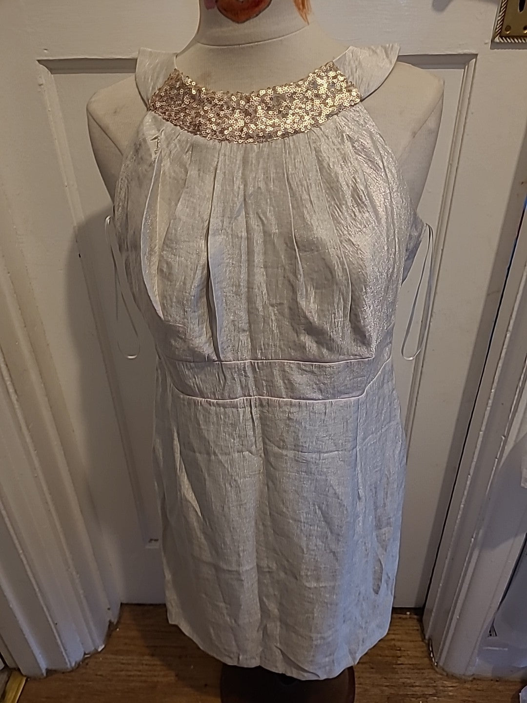 Ladies Yessica Size 12 Silver Shiny Sleeveless Dress