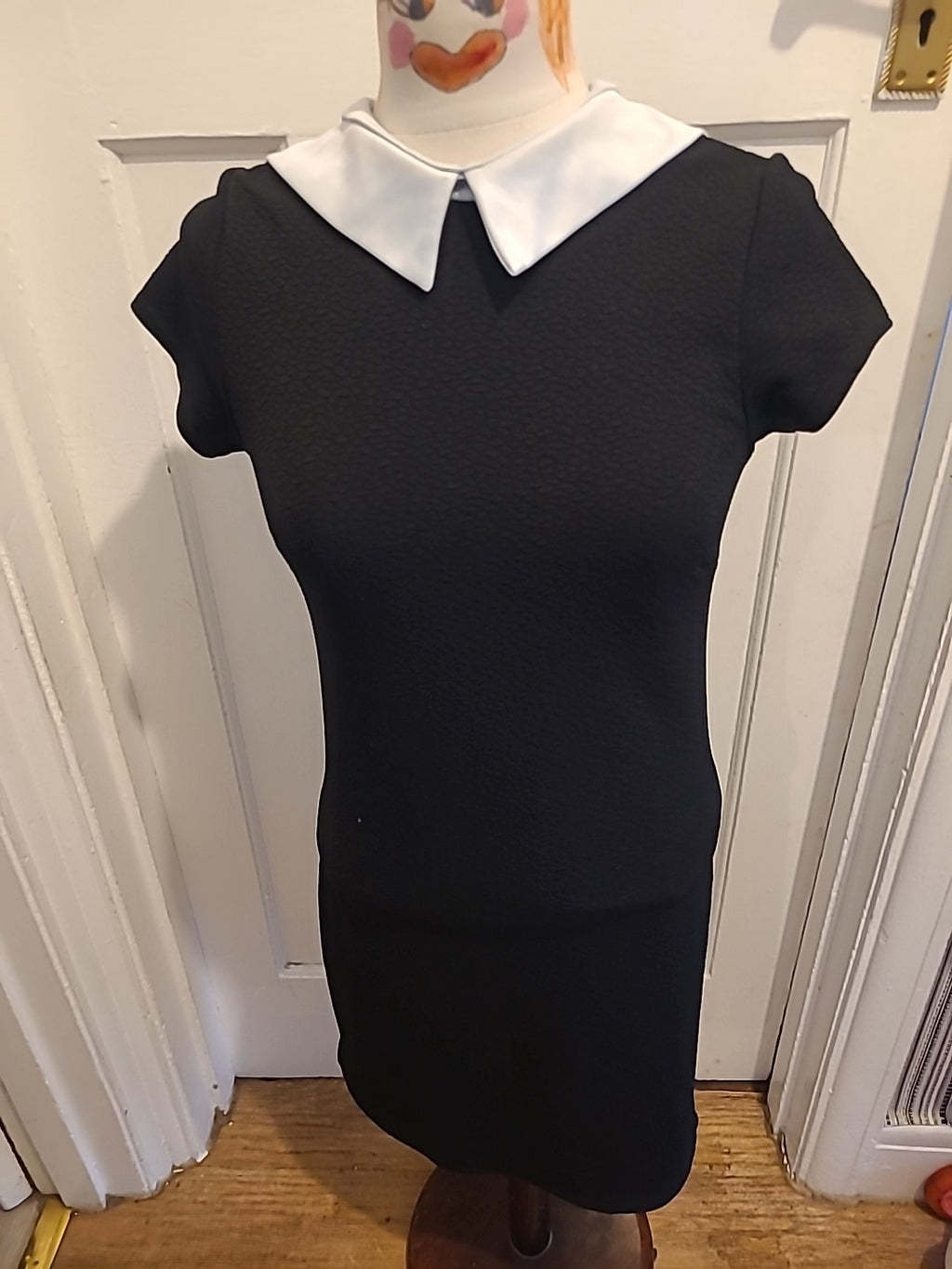 Ladies Cameo Rose Size 10 Black With White Collared Short Sleeved Pencil Dress