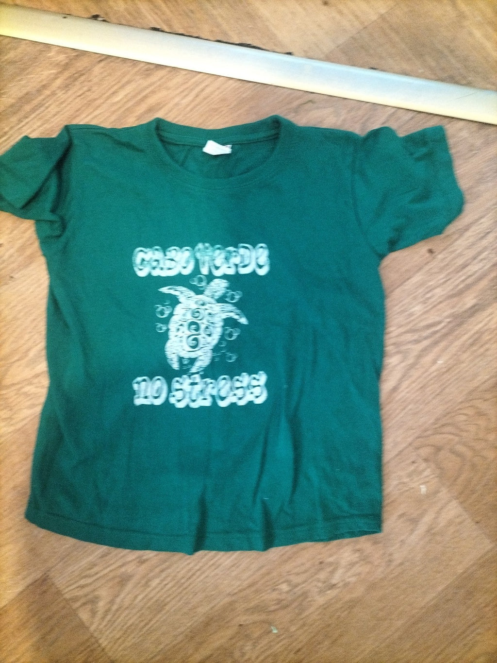 Boys Age 6 Years Green Turtle Short Sleeved Tshirt