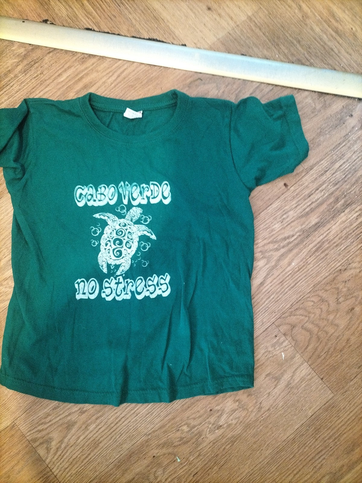 Boys Age 6 Years Green Turtle Short Sleeved Tshirt
