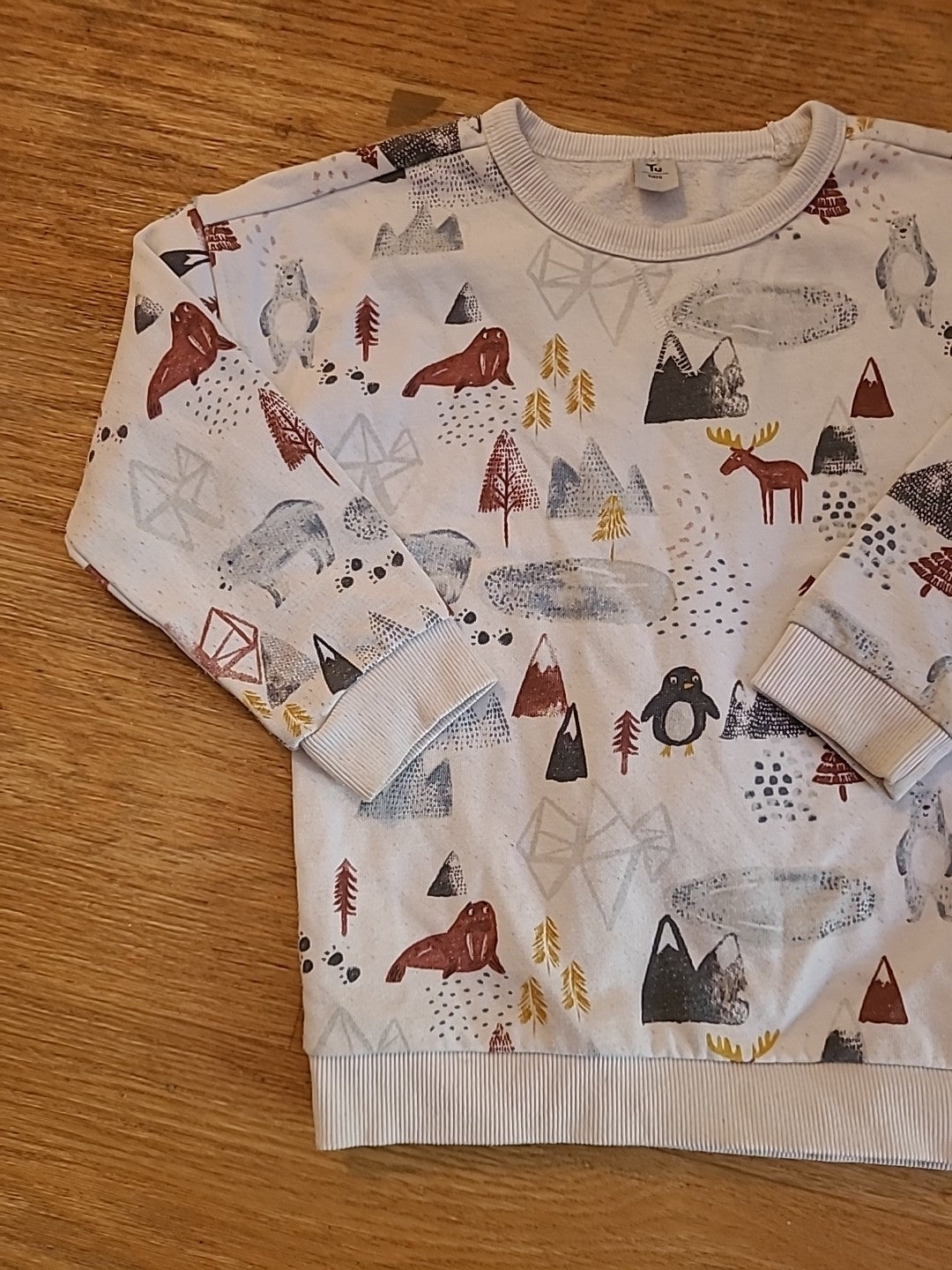 Boys Tu 4-5 Years Penguin Polar Bear Jumper