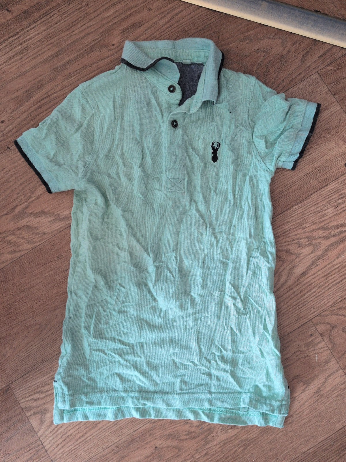 Next 5 Years Mint Short Sleeve Polo