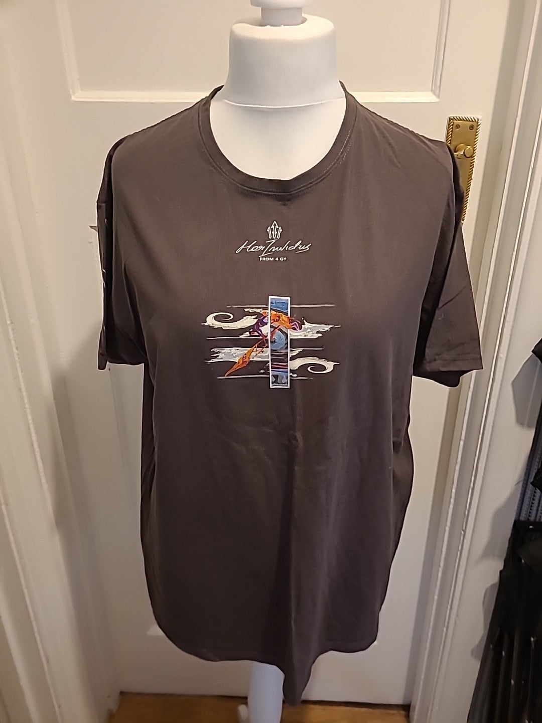 Mens Size XL Charcoal Brown Short Sleeved Tenerife Tshirt