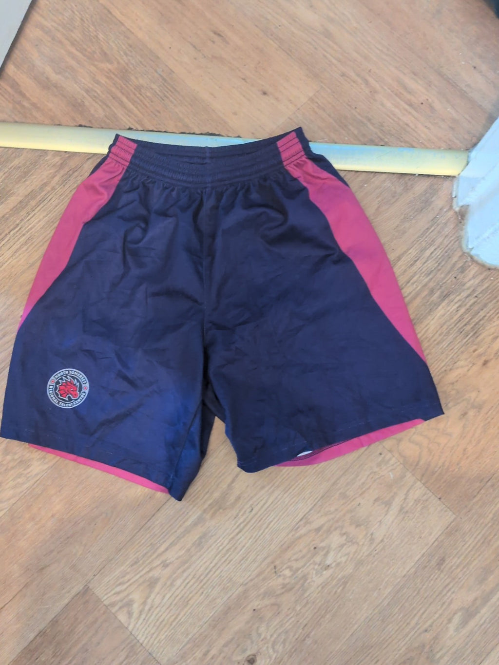 Small Purple And Pink Elasticated North Somerset Shorts